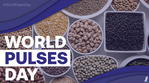 What exactly are pulses?The term 'pulses' comprises 