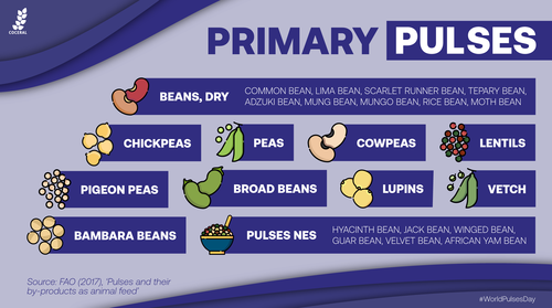 Pulses have been cultivated for millennia and are grown in almost every corner of the world. They play an essential role in the security and #sustainability of Food Systems, with some incredible benefits.